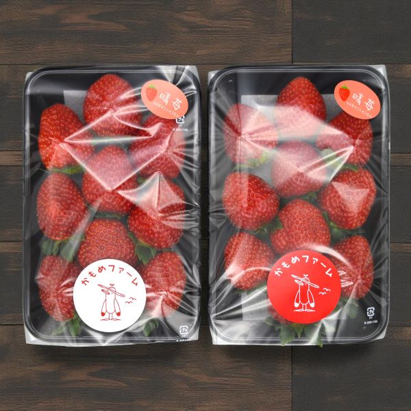 【着日指定不可】かもめファームのいちご　黒トレー約260g×２P