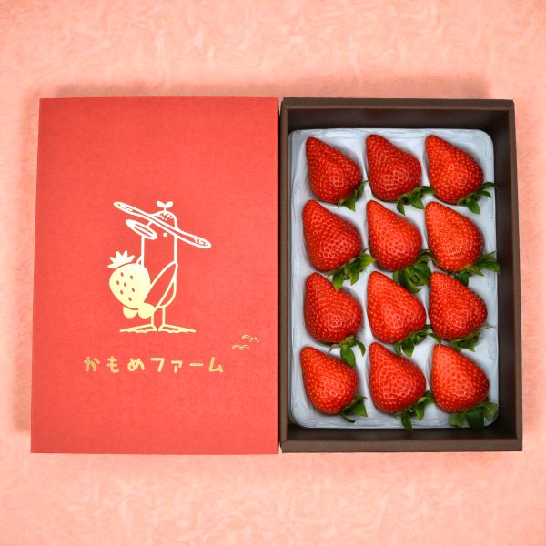 【着日指定不可】かもめファームの「ゆめのか」　約400g