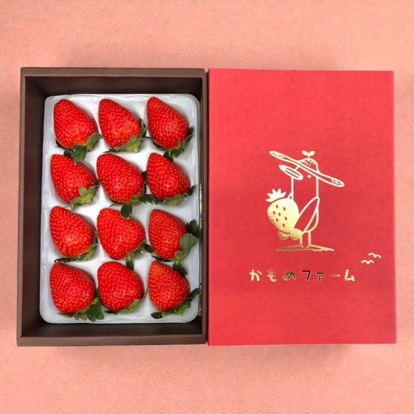 【着日指定不可】かもめファームの「かおり野」　約400g