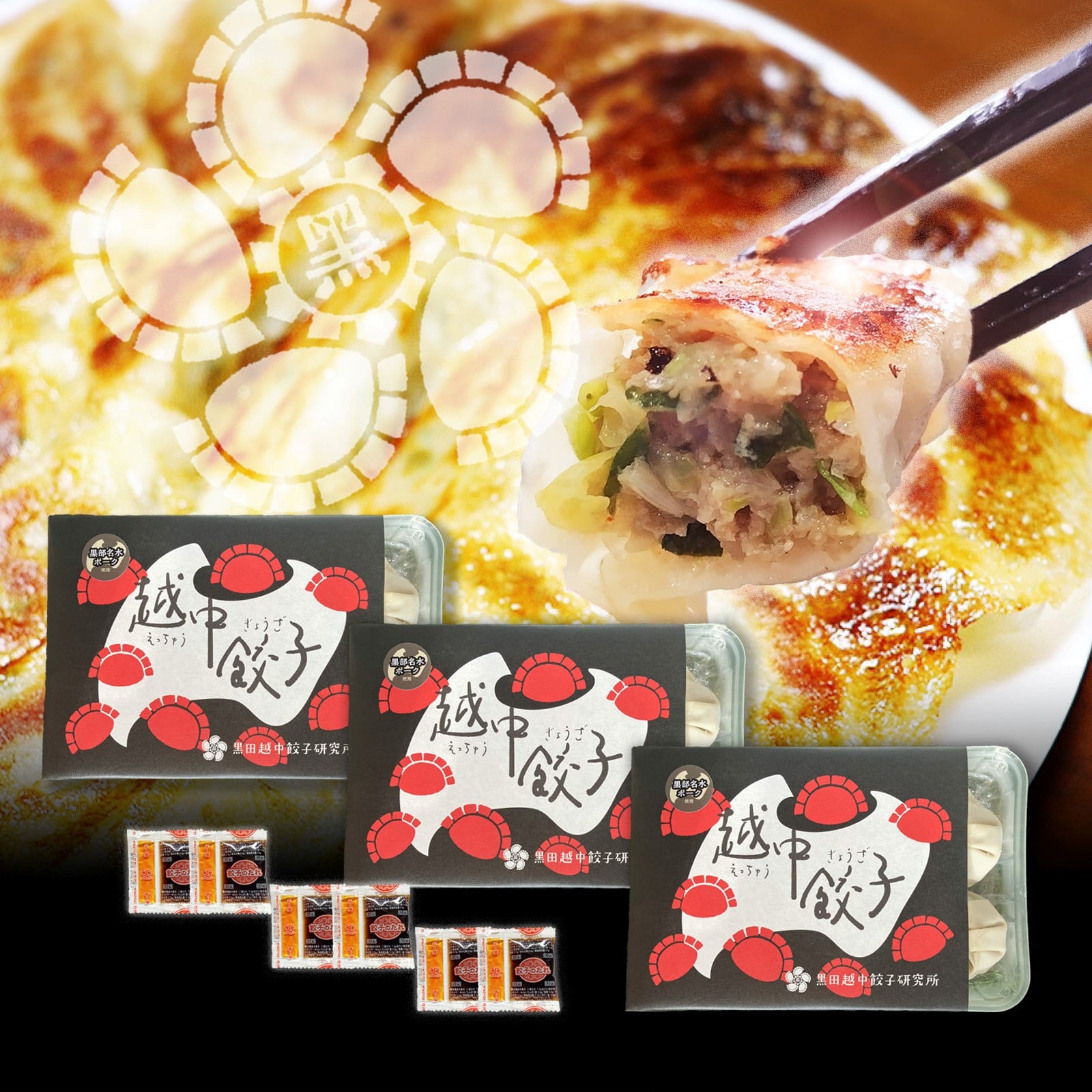 黒部名水ポーク使用越中餃子3パックセット 48個 黒部名水ポーク