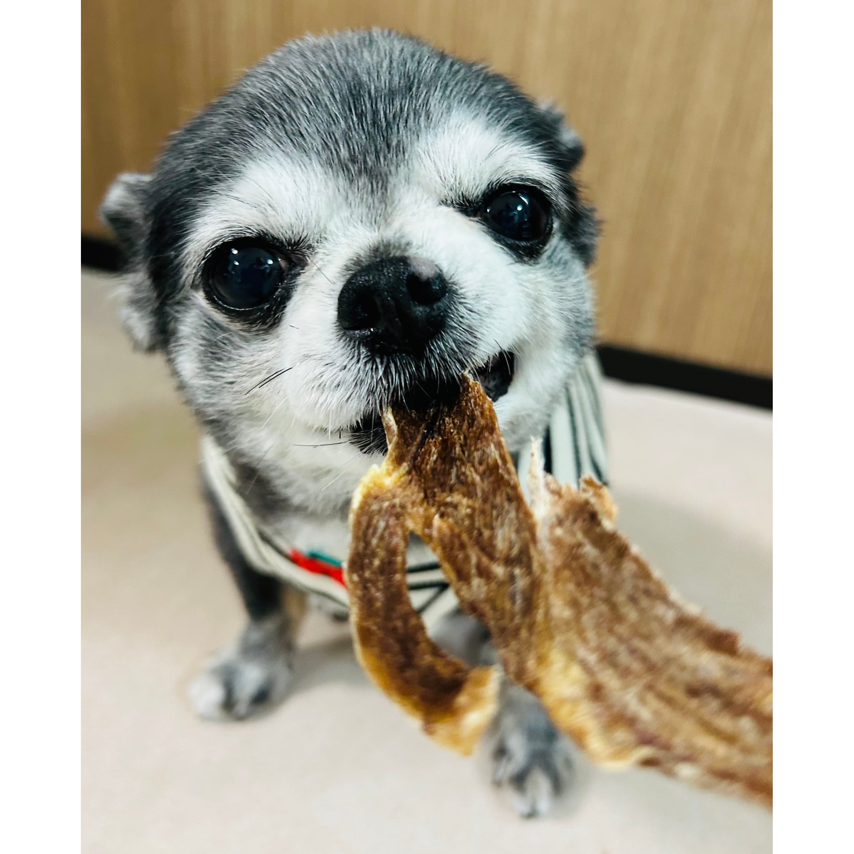 【犬用】能登極上ジビエジャーキー犬用無添加