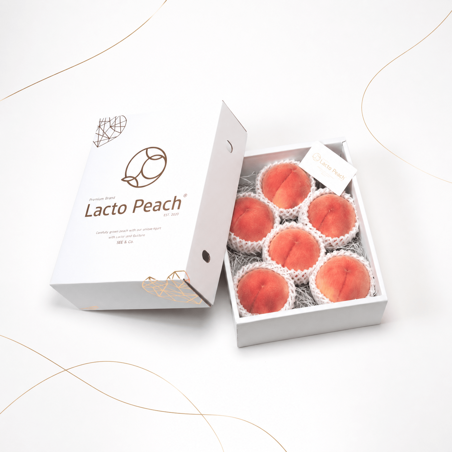 【贈答用】Lacto Peach 約2kg(5～7個入)