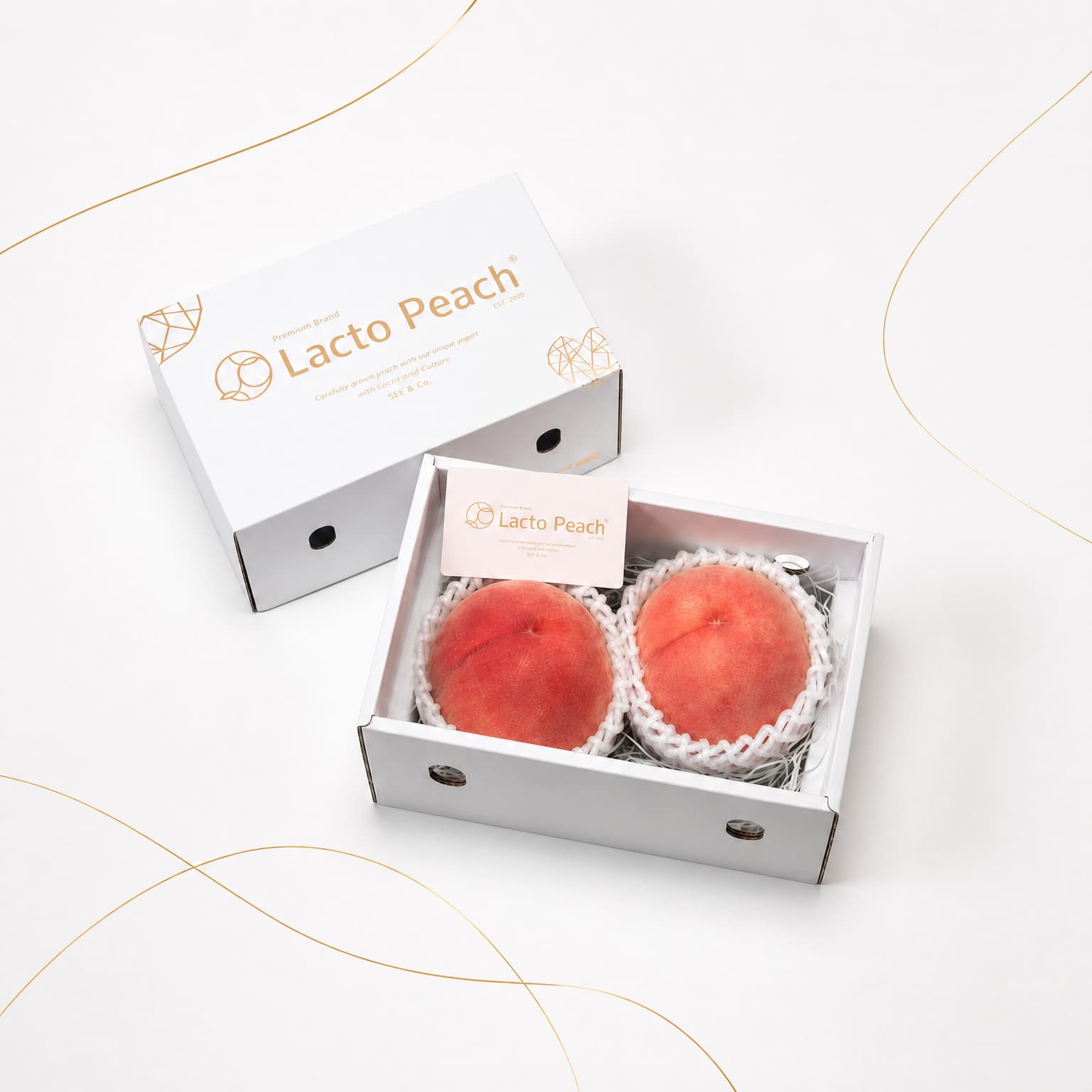 【贈答用】Lacto Peach 2個入
