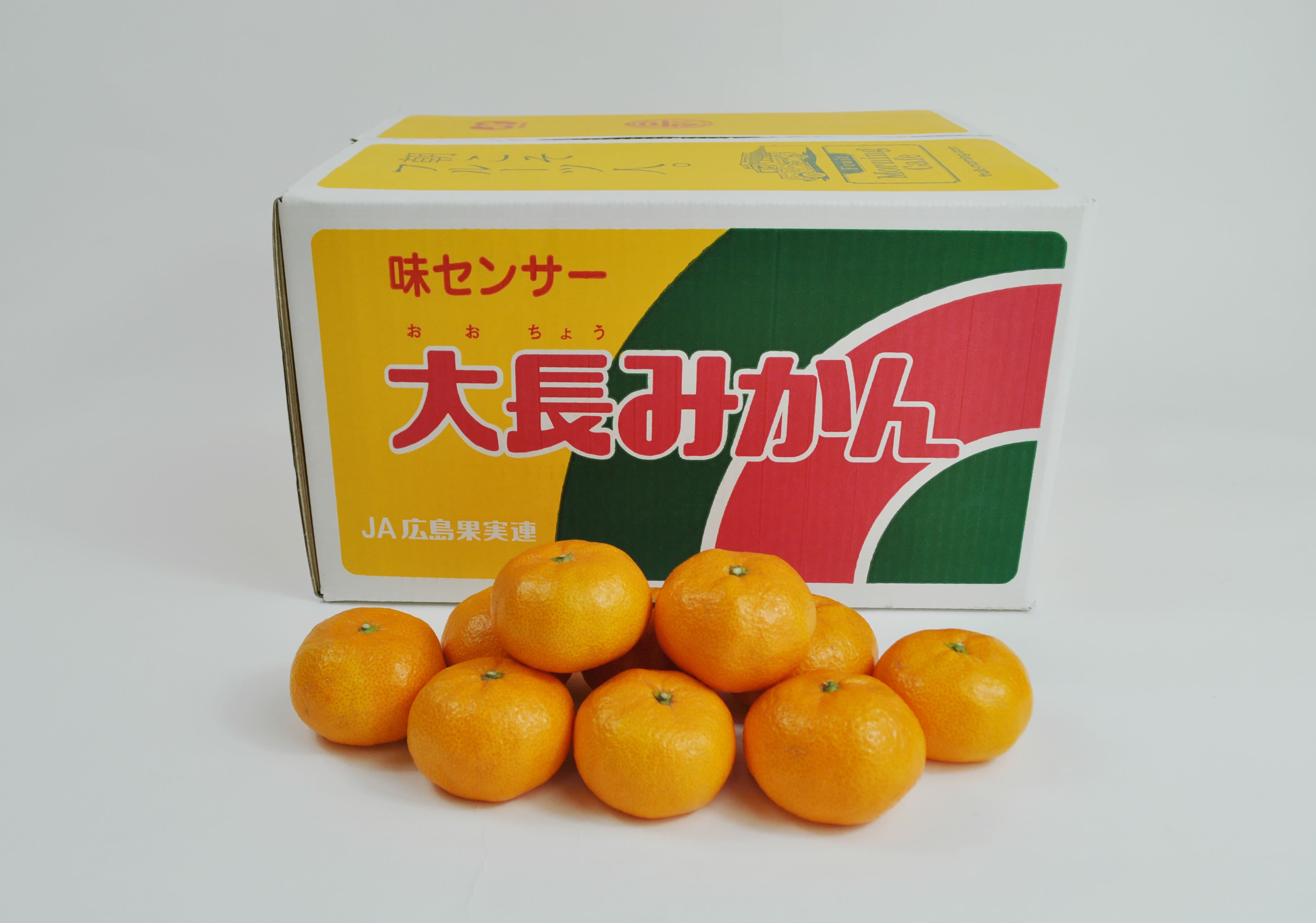 【着日指定不可】広島県産　大長みかん　3kg 3kg