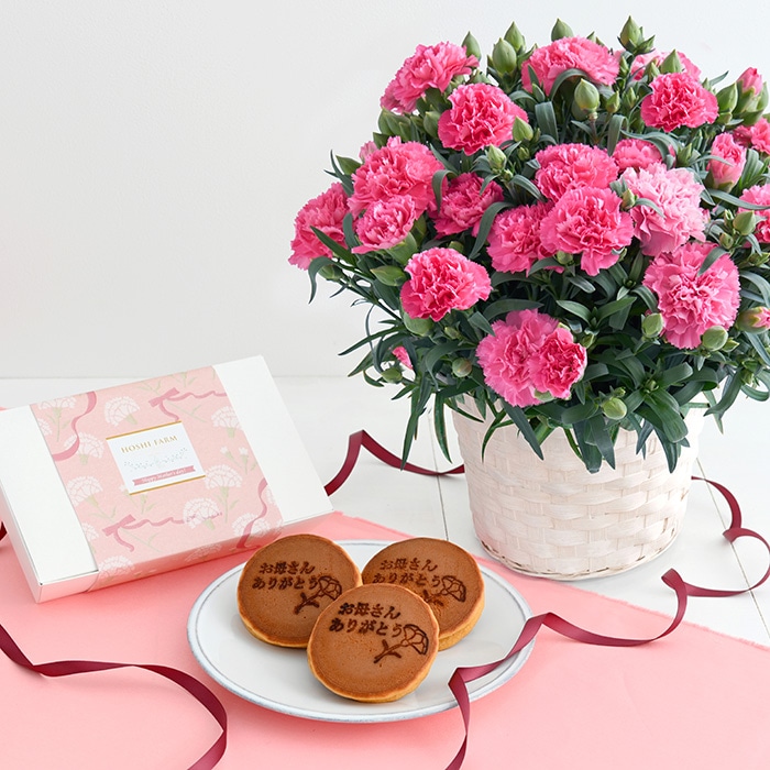 母の日ギフト　ホシファーム　カーネーション＆徳島なると金時のどら焼き　※着日指定不可商品【お届け日：5月6日～10日】 ホシファーム　カーネーション＆徳島なると金時のどら焼き
