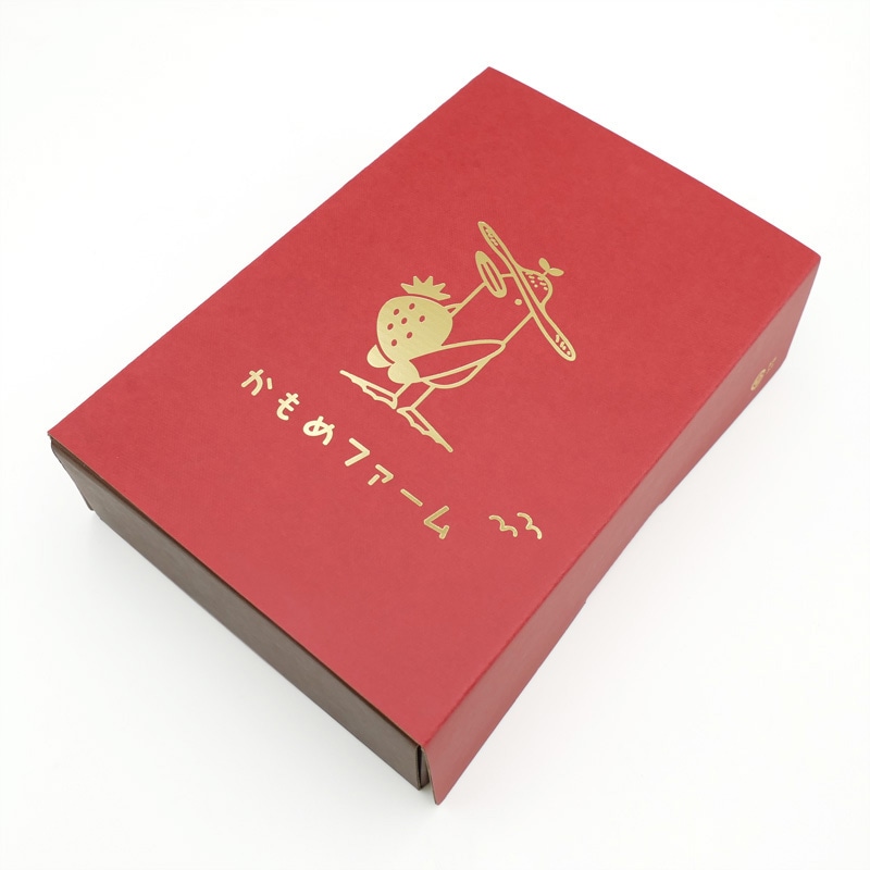 【着日指定不可】かもめファームの「ゆめのか」　約400g