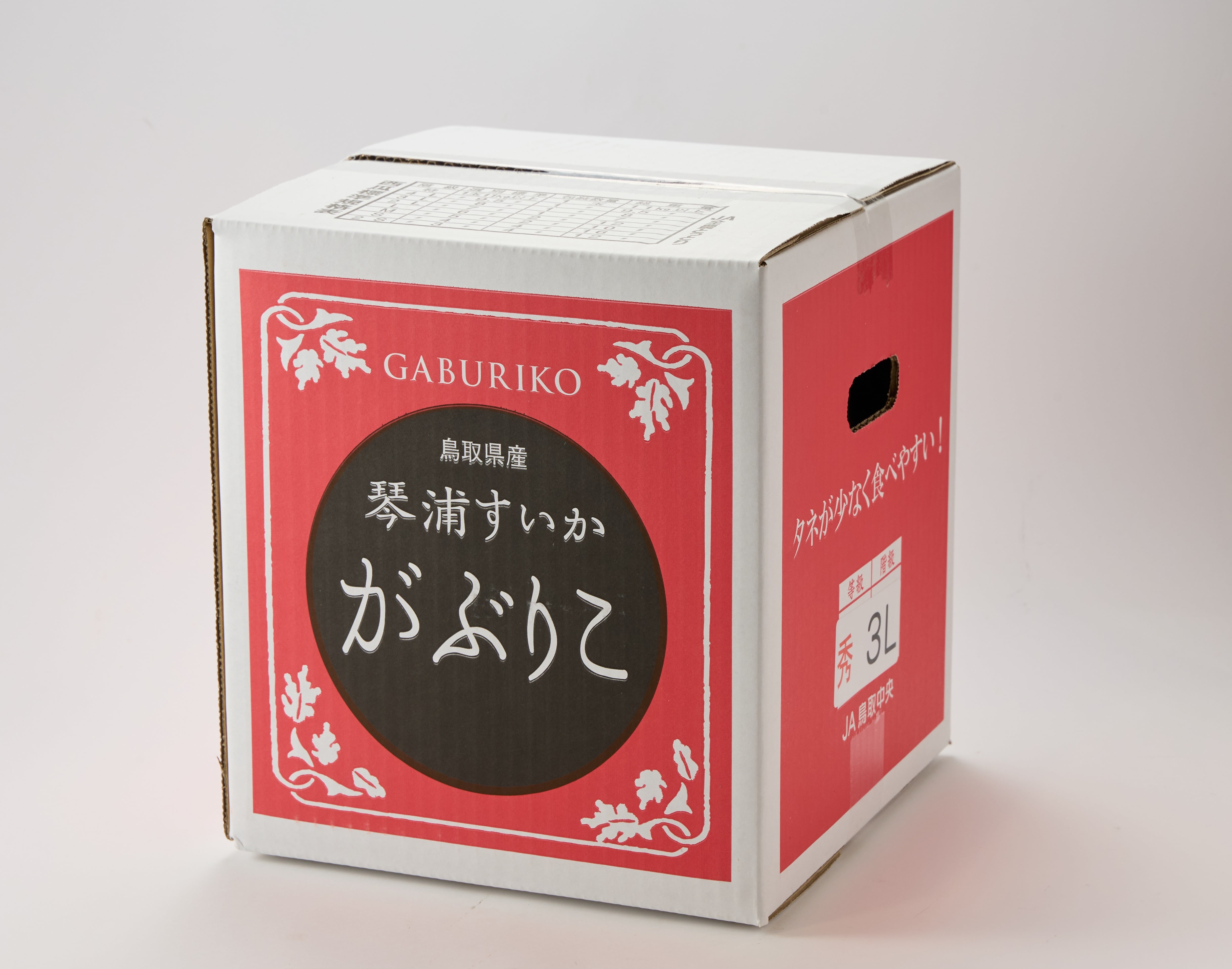 【着日指定不可】鳥取県産 がぶりこ 1玉 限定30個