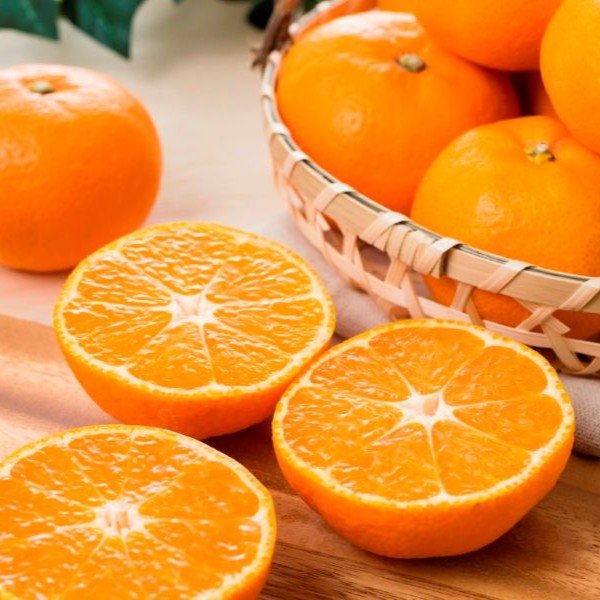 【事前ご予約】【着日指定不可】愛媛県産 蜜るみかん 4kg