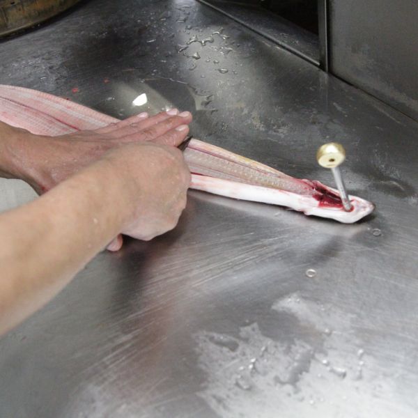 国産大サイズうなぎ蒲焼長焼　140g×2本