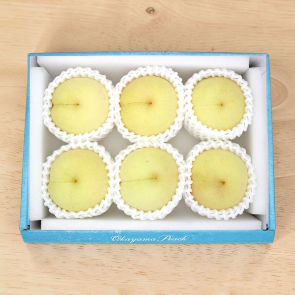 【事前ご予約】吉備路もも出荷組合 瀬戸内白桃 約1.3kg