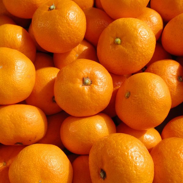 【事前ご予約】早生みかん でか甘みかん(LからLLサイズ)7kg