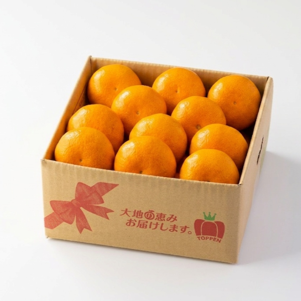 【事前ご予約】熊本県産 完熟濃蜜みかん 2.5kg(20~30玉)