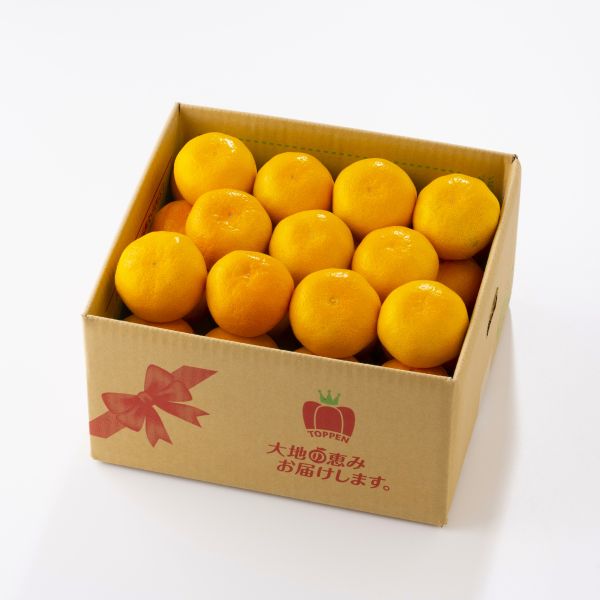 【事前ご予約】熊本県産 完熟濃蜜みかん 4kg(30~50玉)