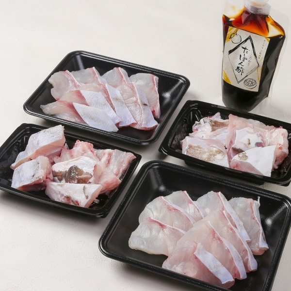 【予約受付】近大発・未来の魚「近大クエタマ」鍋セット1kg