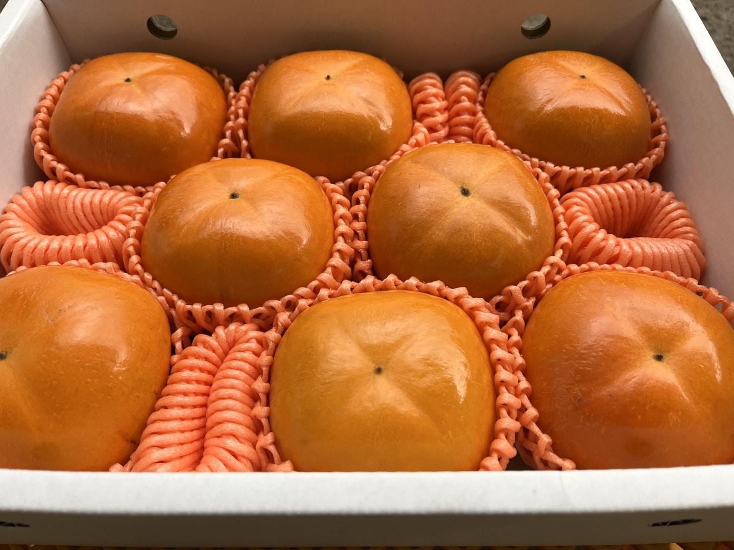 【着日指定不可】果物 和歌山県紀の川柿（秀品） 約2キロ（８個）