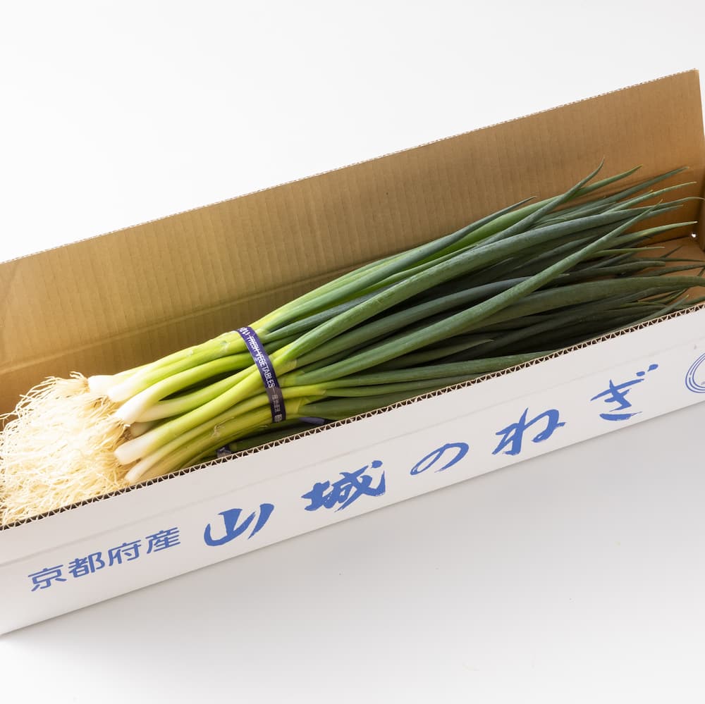 山城のねぎ2kg 1kg×2束