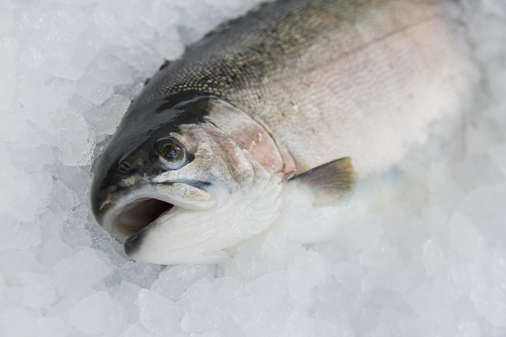 燻製道楽の本格燻製　スモークサーモン500g