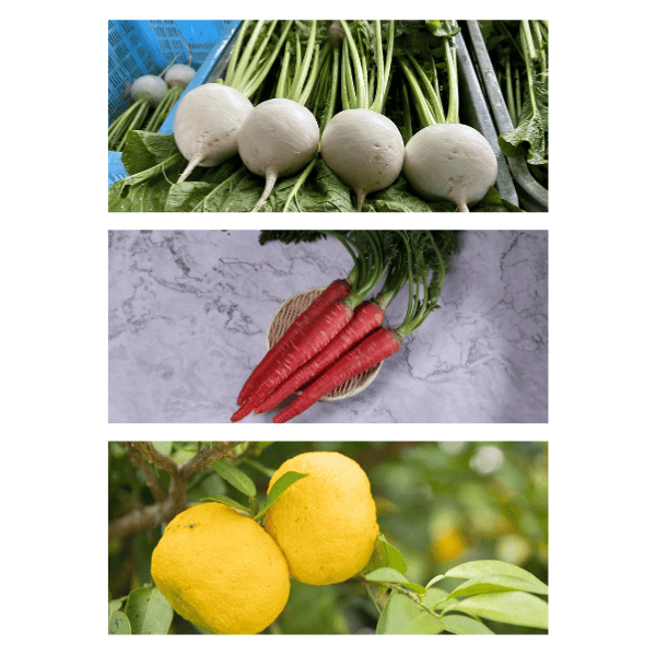 ドレッシング 冬野菜ドレッシング 3本