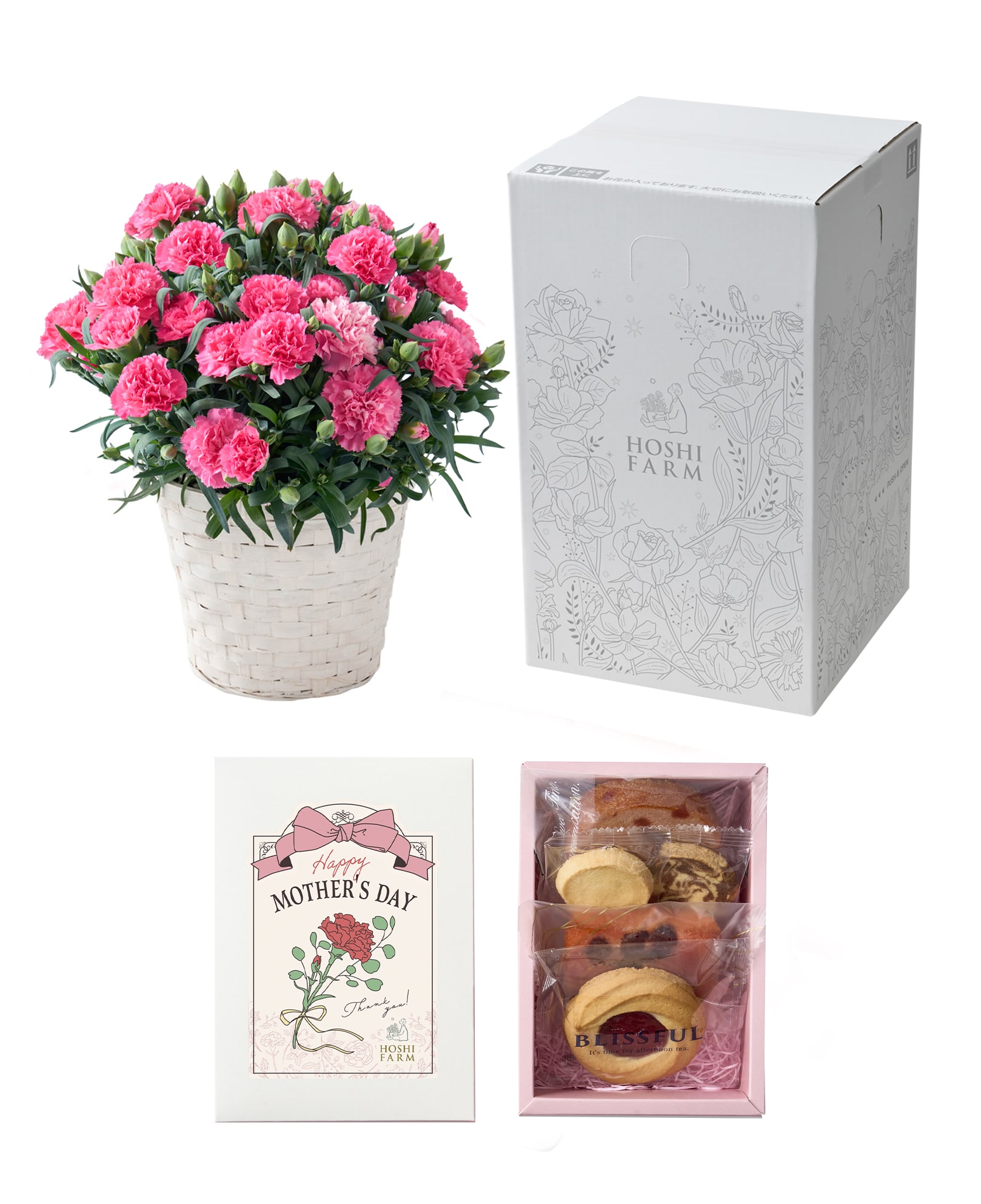 母の日ギフト ホシファーム カーネーション鉢&焼菓子アソート5個 ※着日指定不可商品【お届け日:5月6日~10日】 ホシファーム カーネーション鉢&焼菓子アソート5個