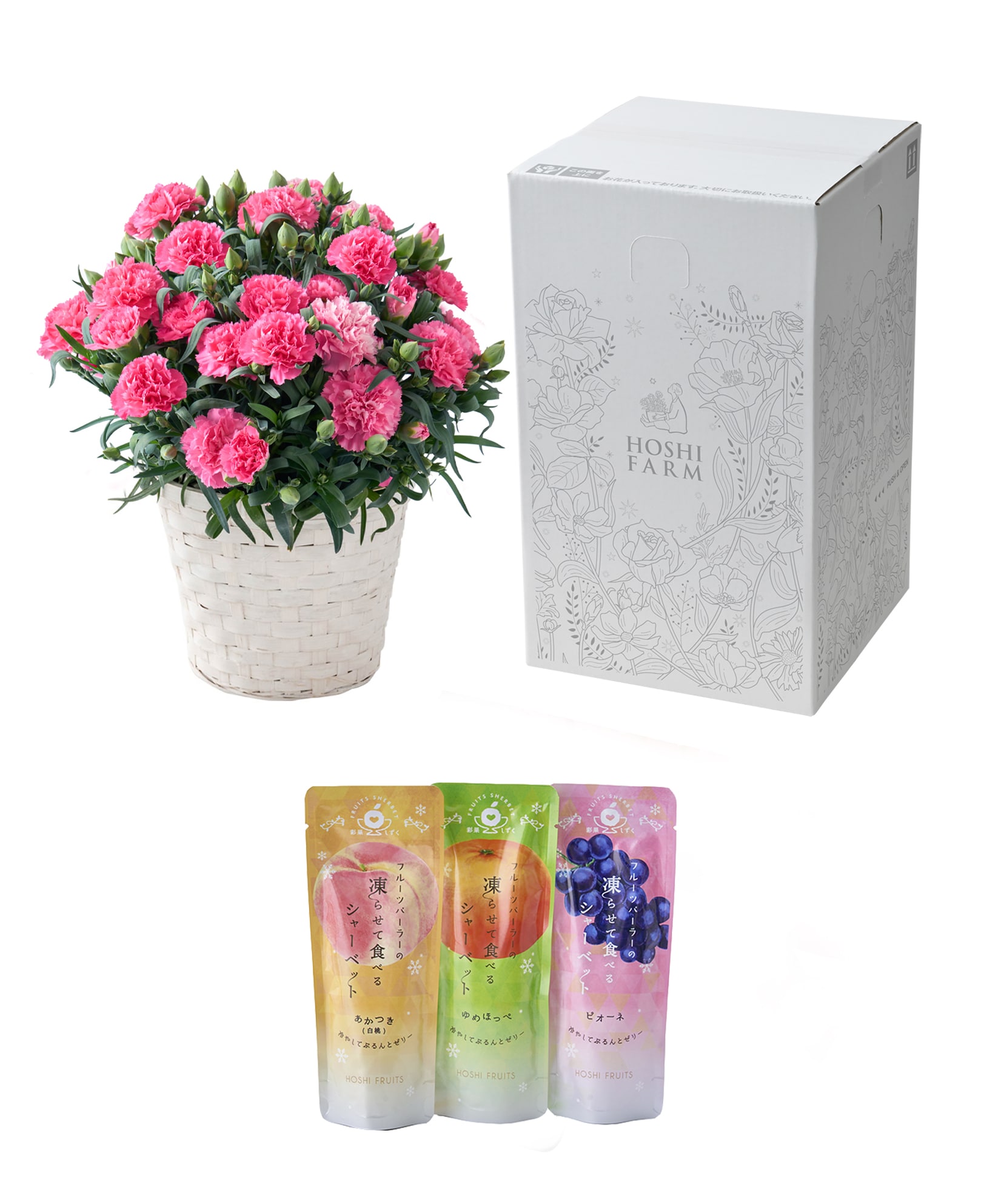 母の日ギフト ホシファーム カーネーション鉢&凍らせて食べるシャーベット 彩果しずく3袋 ※着日指定不可商品【お届け日:5月6日~10日】 ホシファーム カーネーション鉢&凍らせて食べるシャーベット