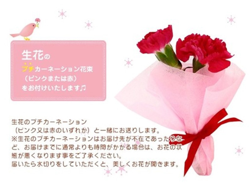 母の日ギフトハチミツおろし生姜と生花のプチカーネーション 母の日ギフトハチミツおろし生姜と生花のプチカーネーション