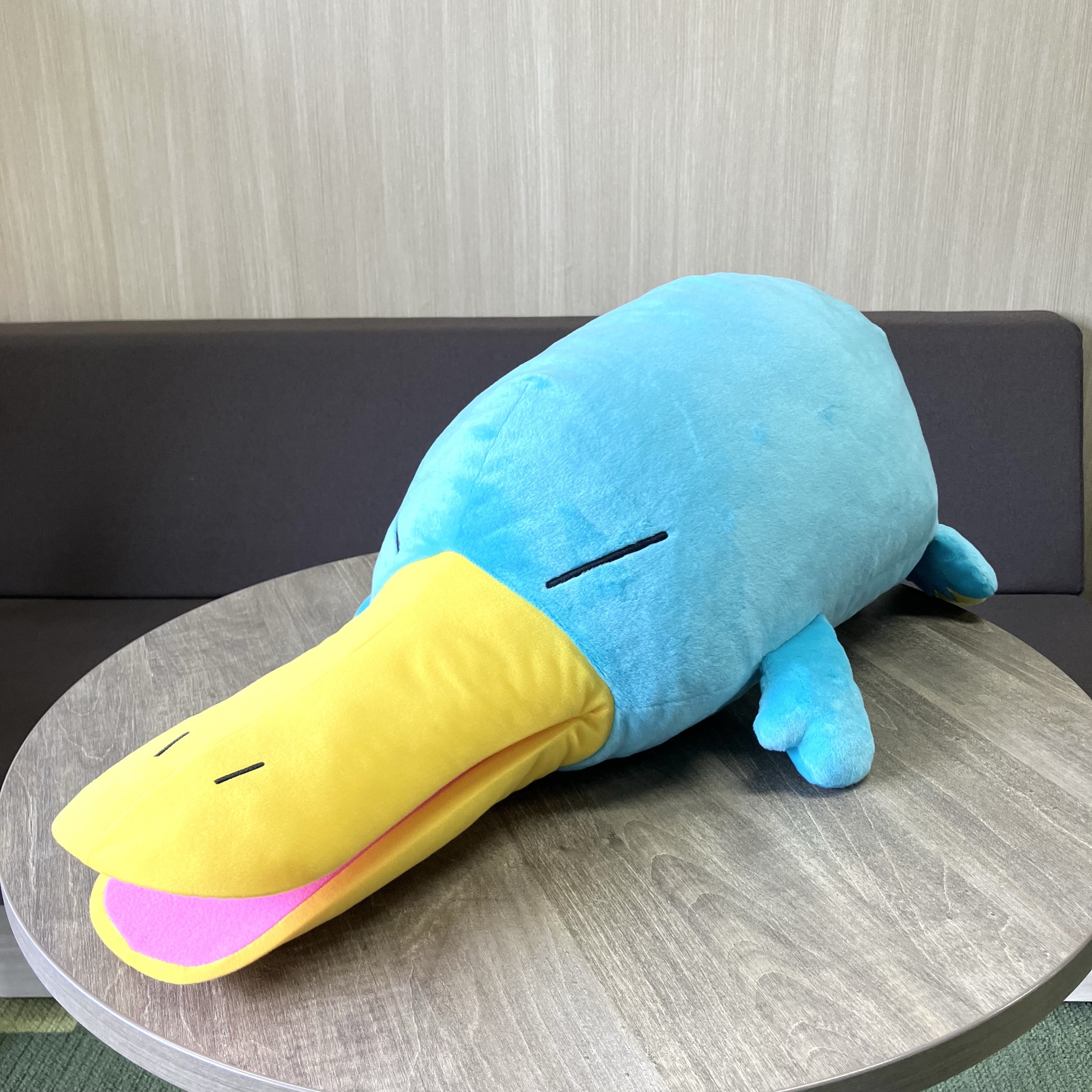 カモノハシのイコちゃん　大きな寝そべりぬいぐるみ