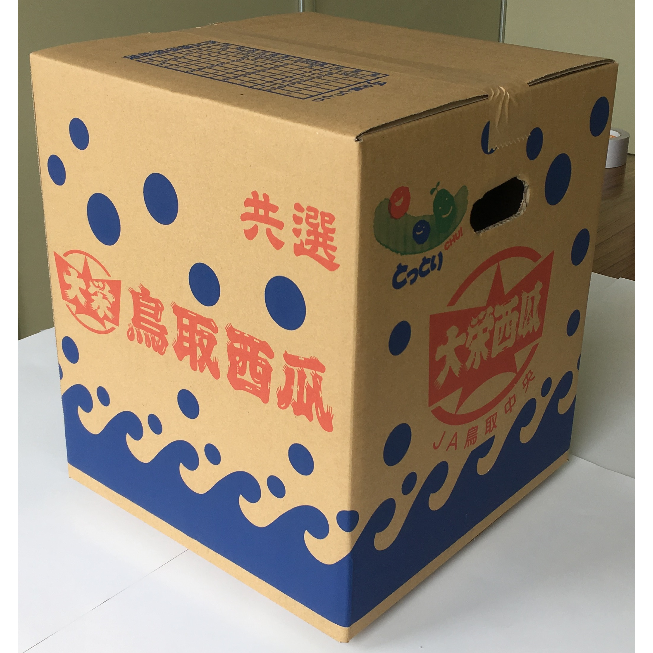 【着日指定不可】鳥取県産 大栄西瓜 特1玉 限定50個