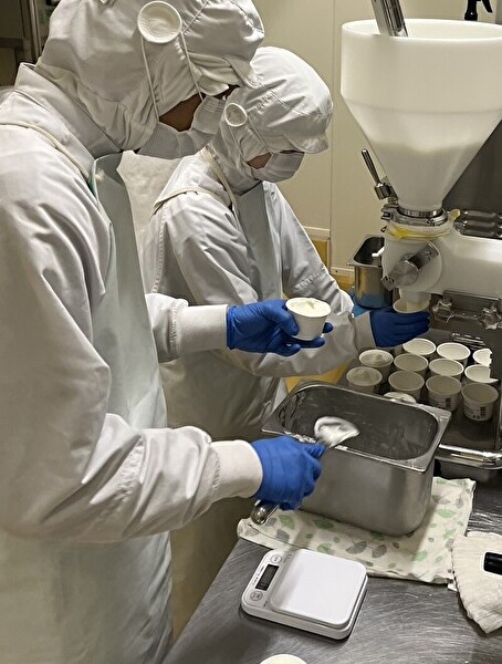 ｼﾞｪﾗｰﾄ・ｱｲｽ　５種のｸﾗﾌﾄｱｲｽ８個セット