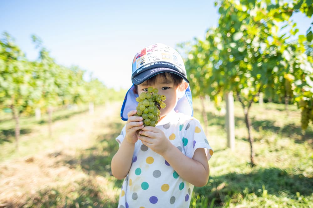 禅の里わいん ブラン 750ml 禅の里わいんブラン