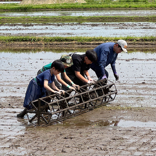 ヘルジアンウッド自然栽培米 2kg 2kg