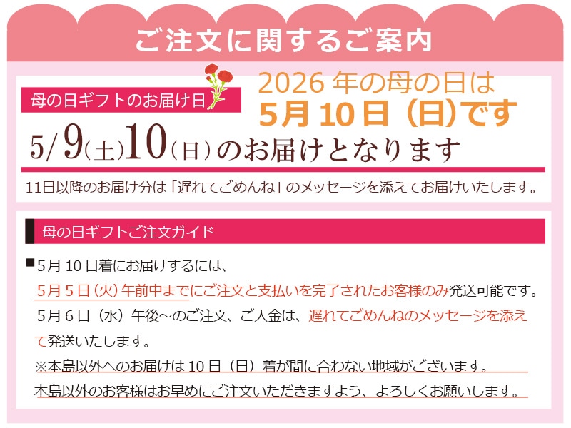 母の日ギフトハチミツおろし生姜と生花のプチカーネーション 母の日ギフトハチミツおろし生姜と生花のプチカーネーション