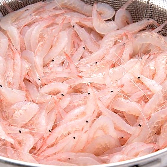 富山湾の宝石　白えび殻付き200g (冷凍真空包装）