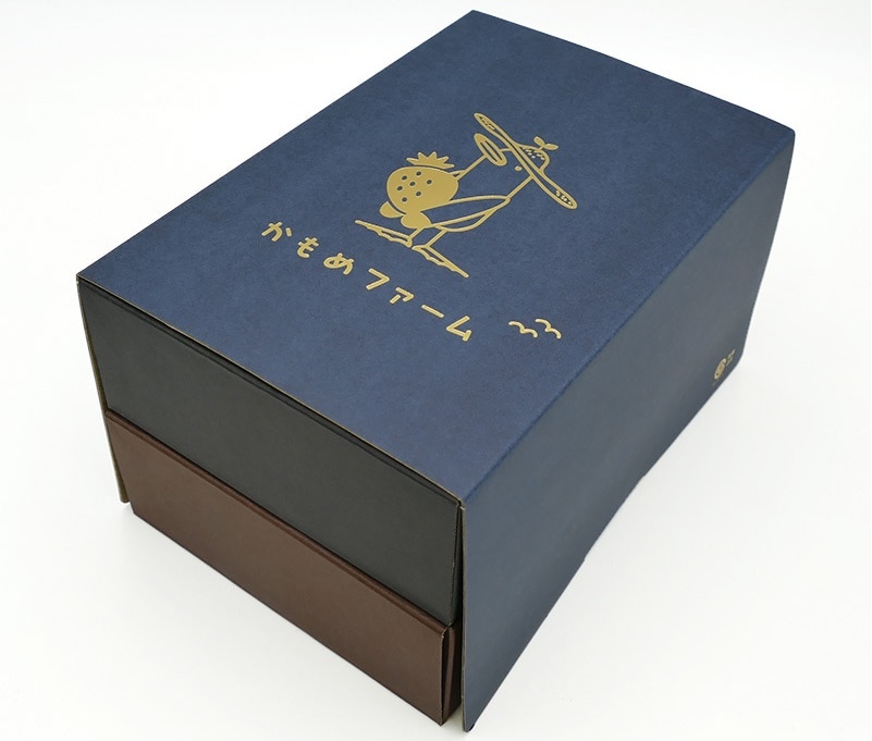 【着日指定不可】かもめファームの「晴苺」＆「かおり野」　約800g