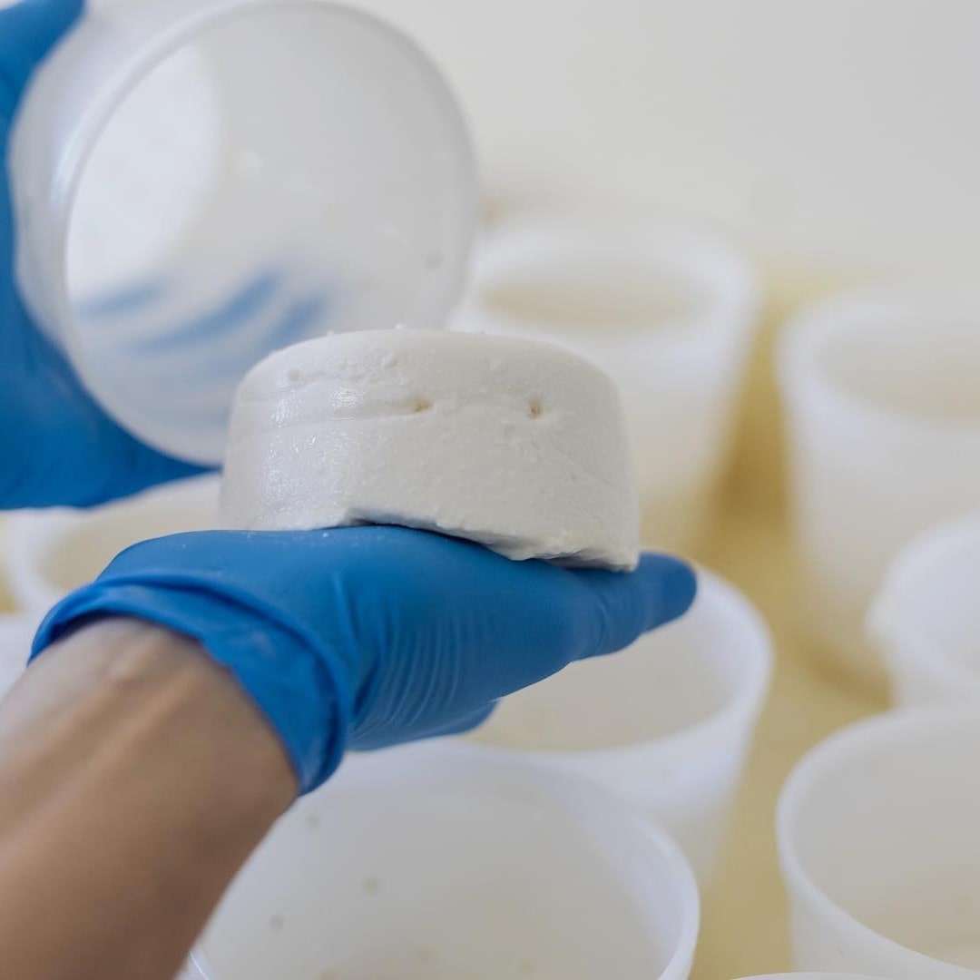 ふわふわレアチーズケーキ（はっさく） レアチーズケーキ