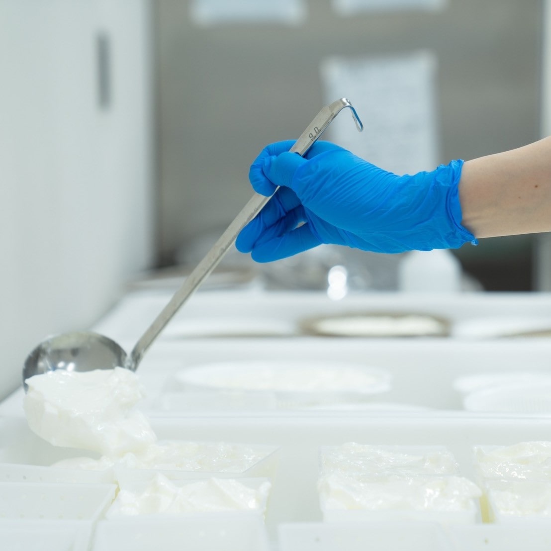 米糀チーズケーキとレアチーズケーキ（はっさく） チーズケーキセット