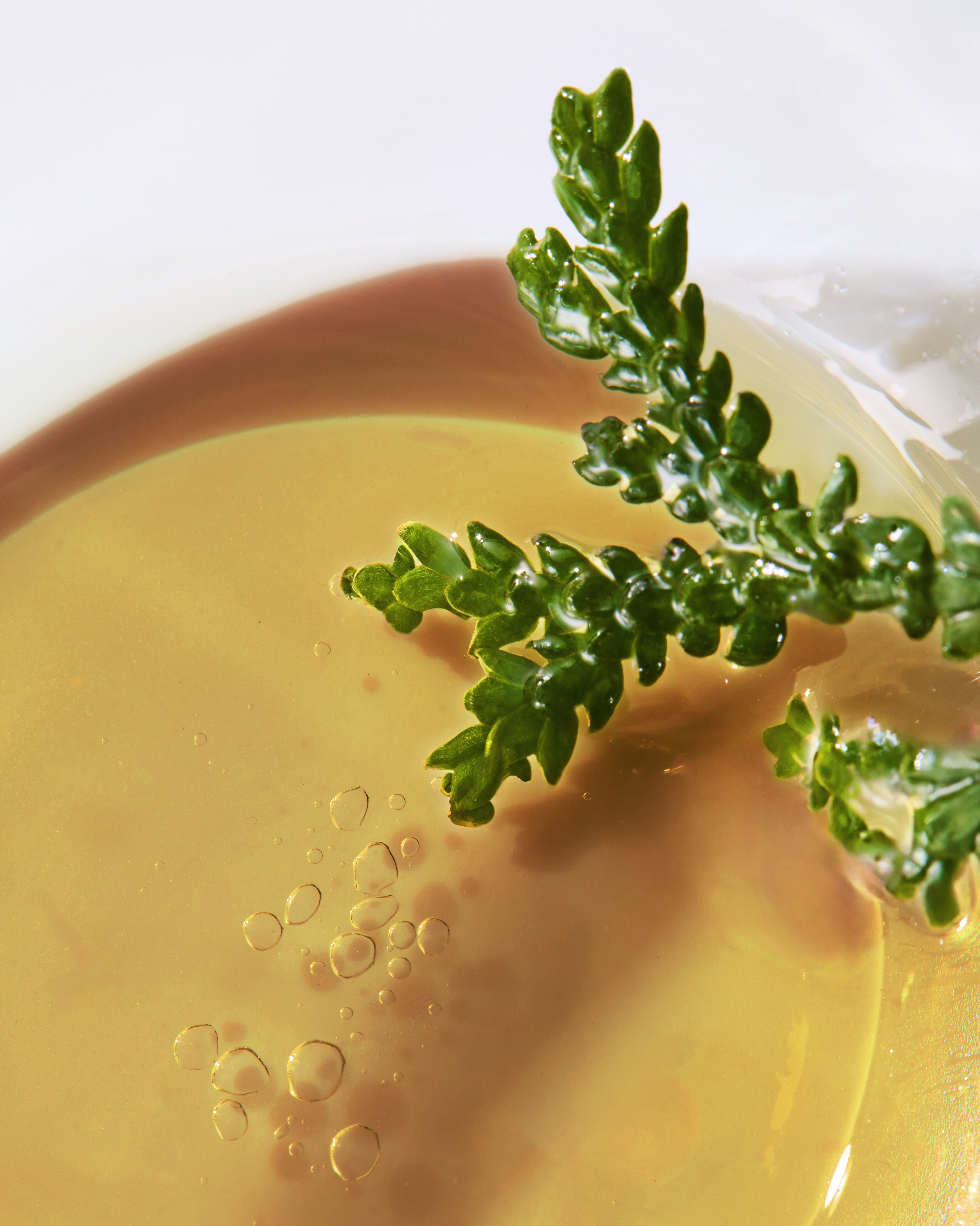 バスアイテム(入浴剤等) 能登ヒバ バスソルト 480ｇ