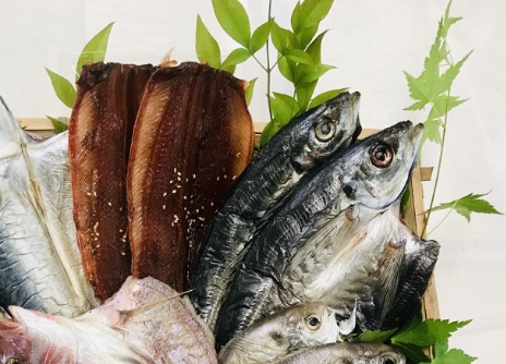 干物 鮮魚問屋の前浜干物　小セット ４種６枚