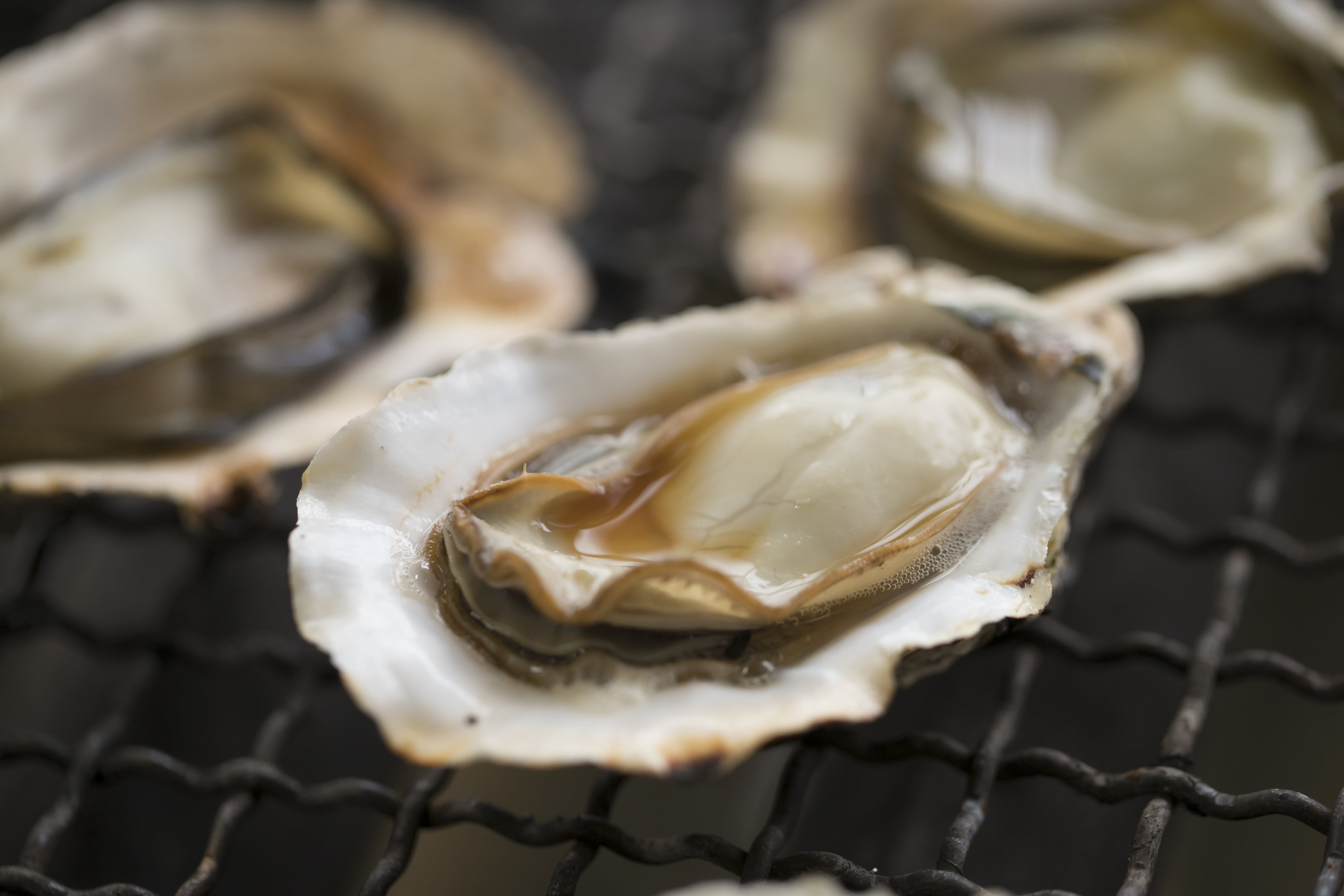 【福岡県北九州市産】　「豊前海一粒かき」　2kg（加熱用）