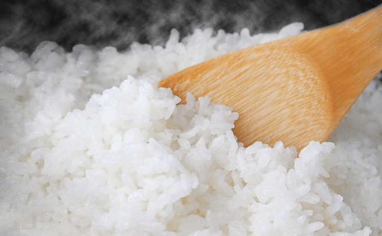 熊野米（和歌山県産ヒカリ新世紀） 5kg 5kg