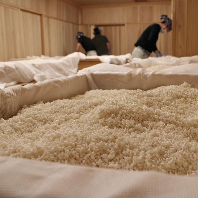 【丹波篠山秀月】 もろみたっぷりで大人気の活性にごり酒