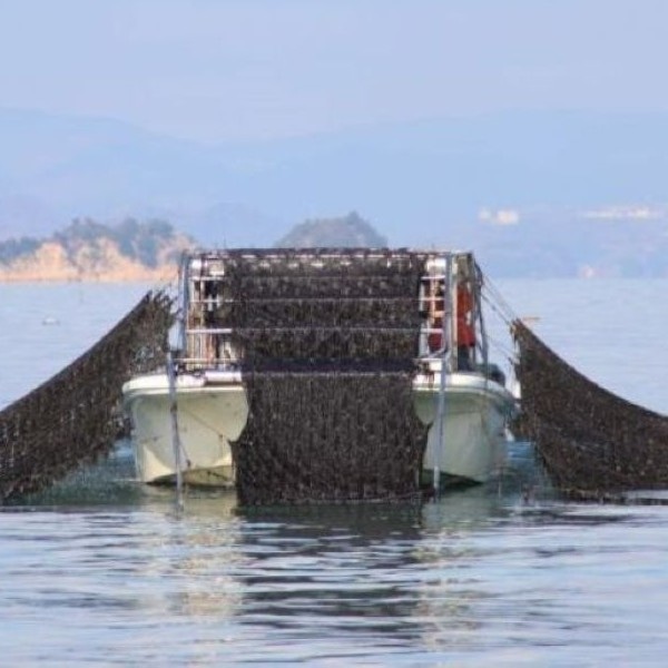 海苔師の生のり佃煮〈極〉2個詰合せ
