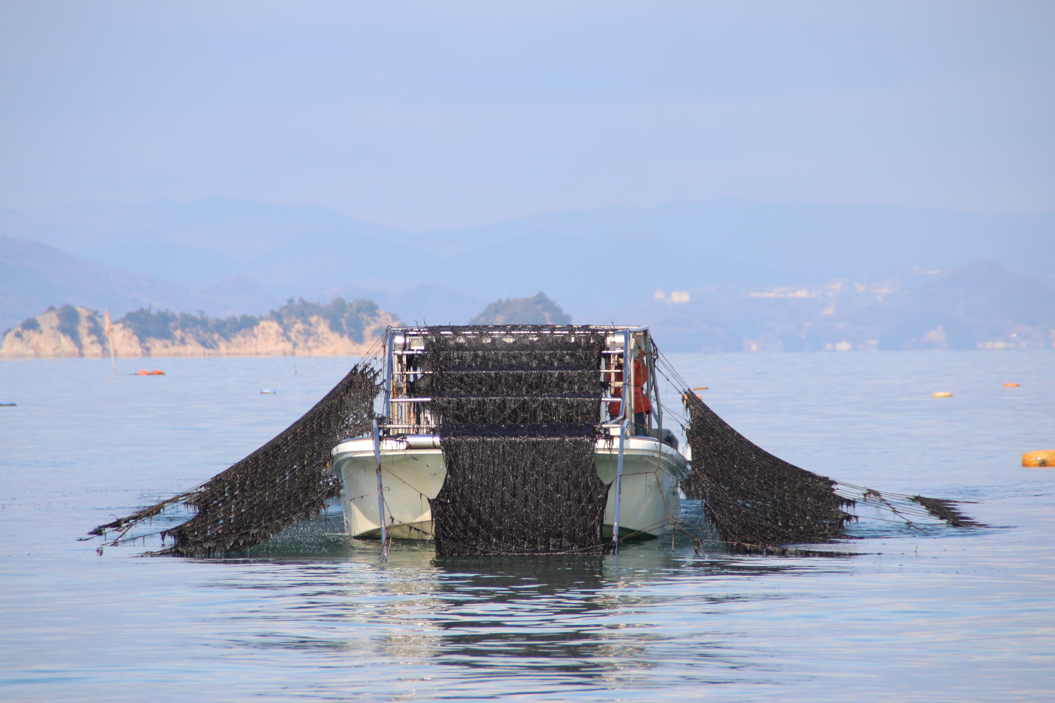 初摘み一番海苔お楽しみセット