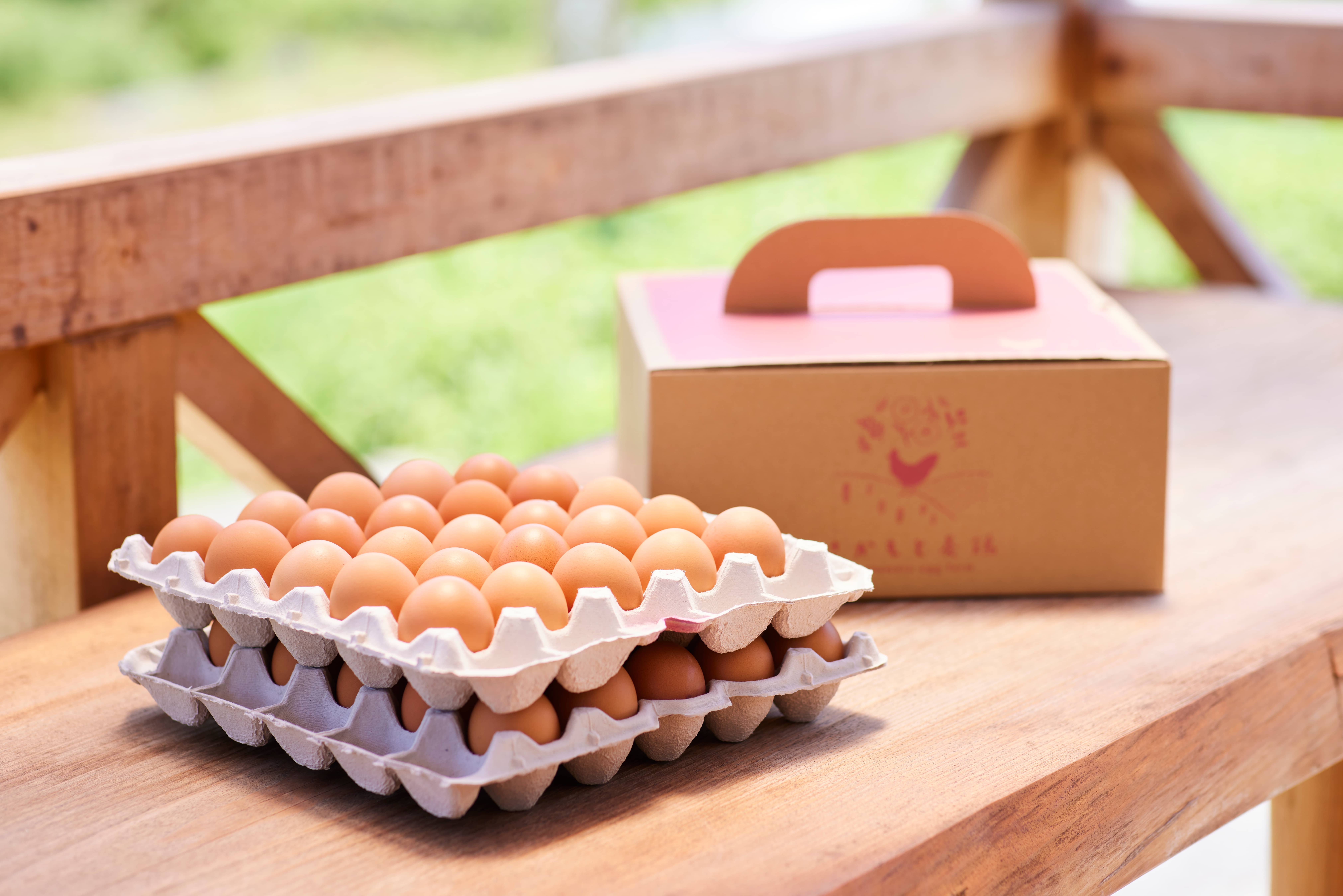さかもと姉妹の白鳳卵プリン(プレーン6個セット)(白鳳卵プリン): 近畿