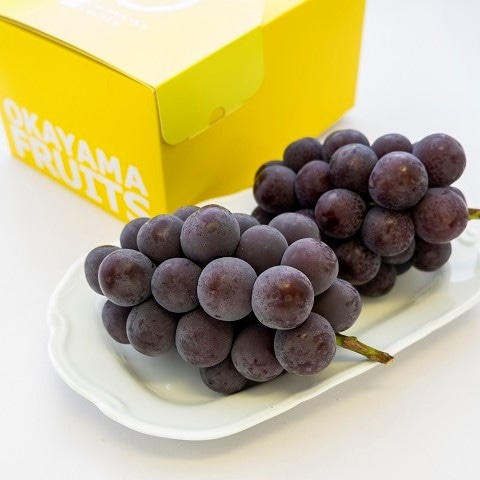 【事前ご予約】【着日指定不可】ご家庭用ニューピオーネ 約1.1kg(2~3房)