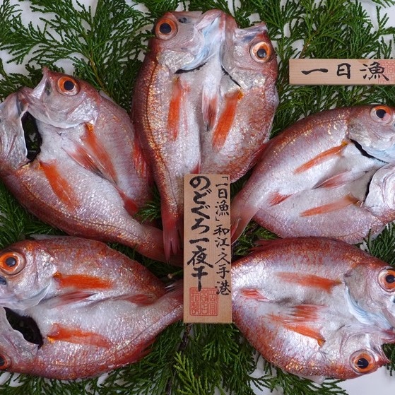 一日漁「のどぐろ一夜干し」410g