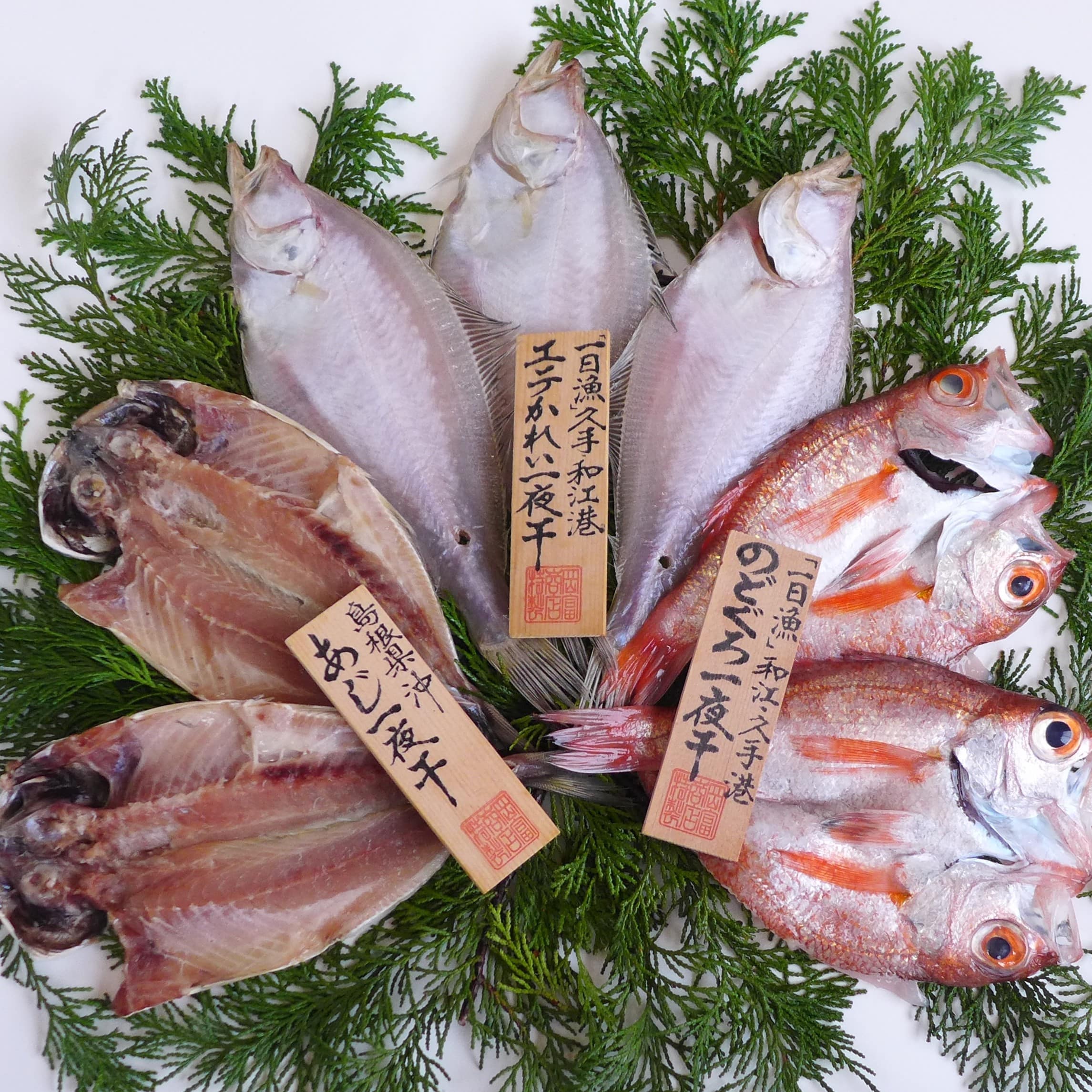 「島根県沖」ひもの　大黒