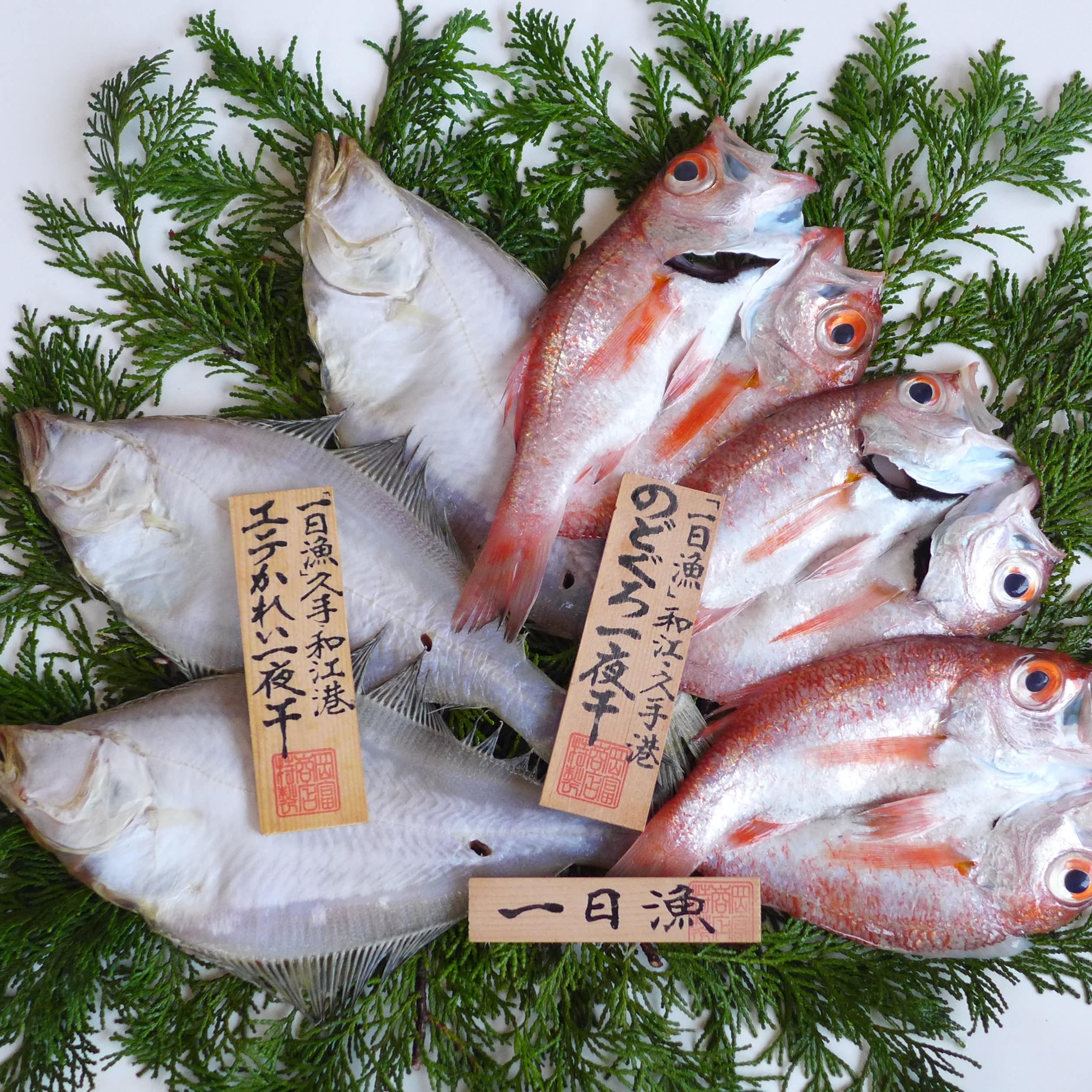 「一日漁」のどぐろ・かれい一夜干