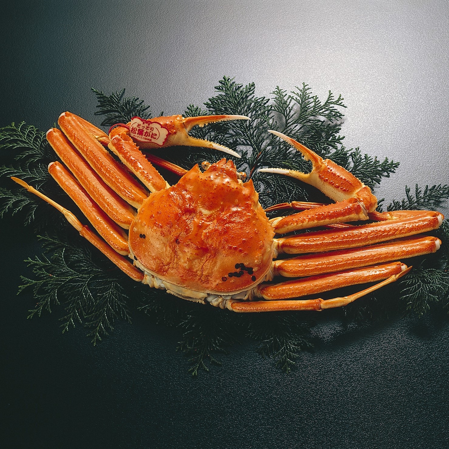 浜茹で松葉がに姿【大】700～800g