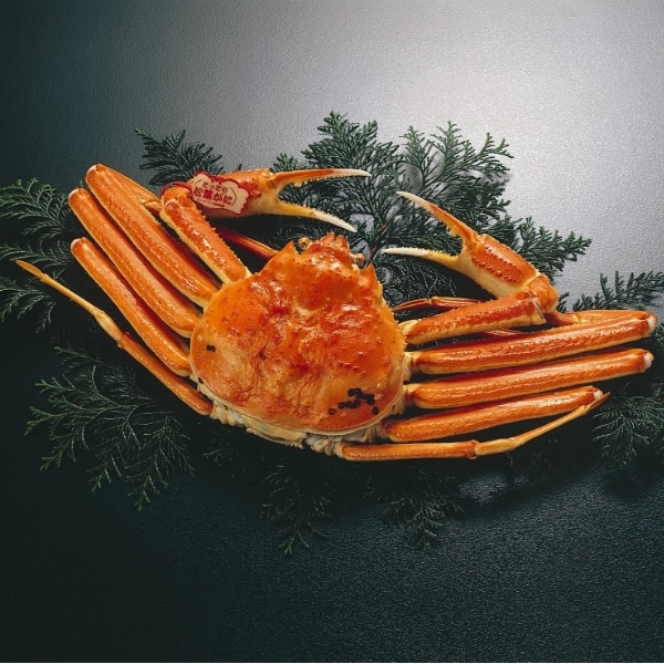 浜茹で松葉がに姿【中】500～600g