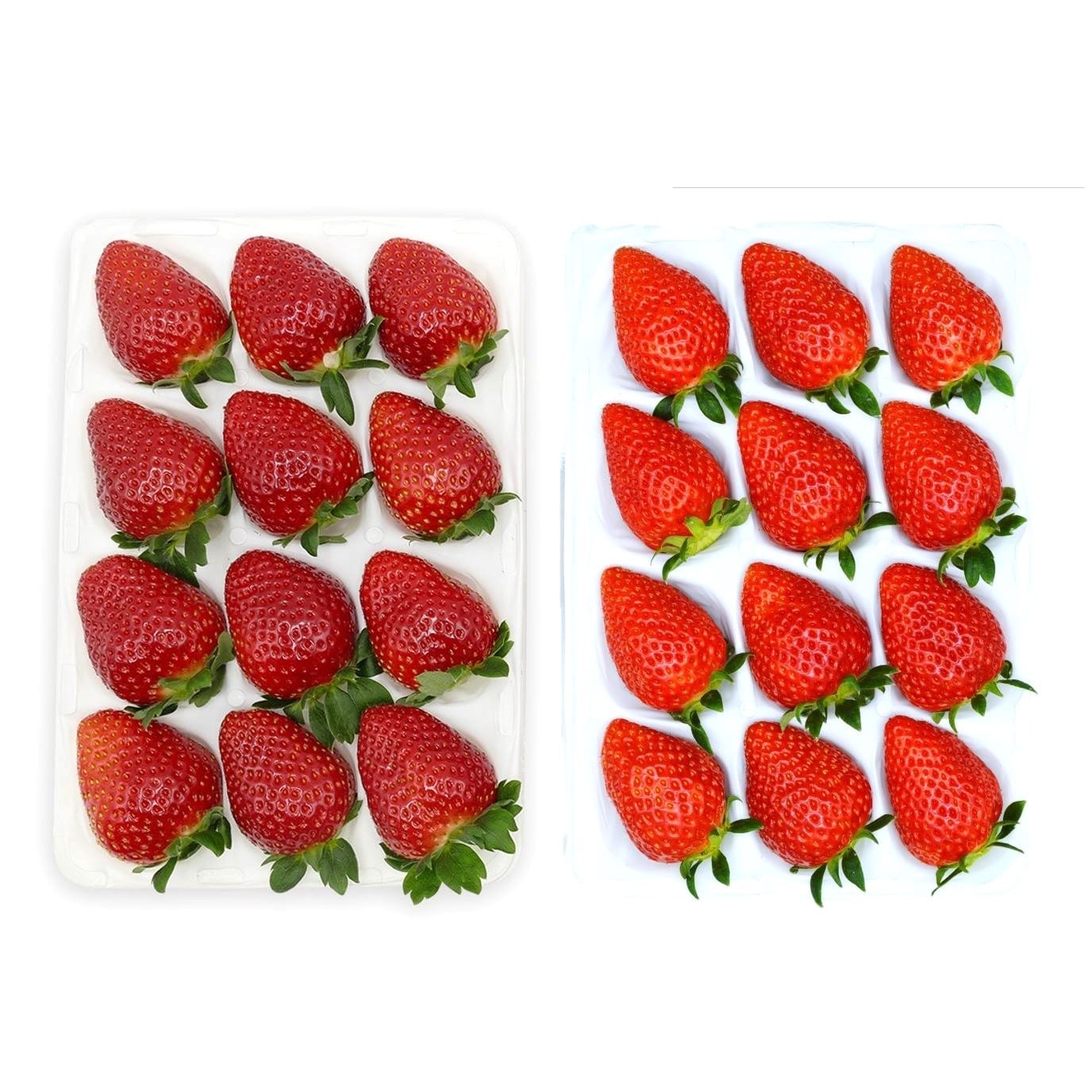 【着日指定不可】かもめファームの「晴苺」&「かおり野」 約800g